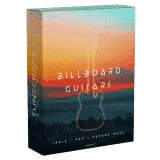 Billboard-Guitars-3D-box-NS_500x500-min